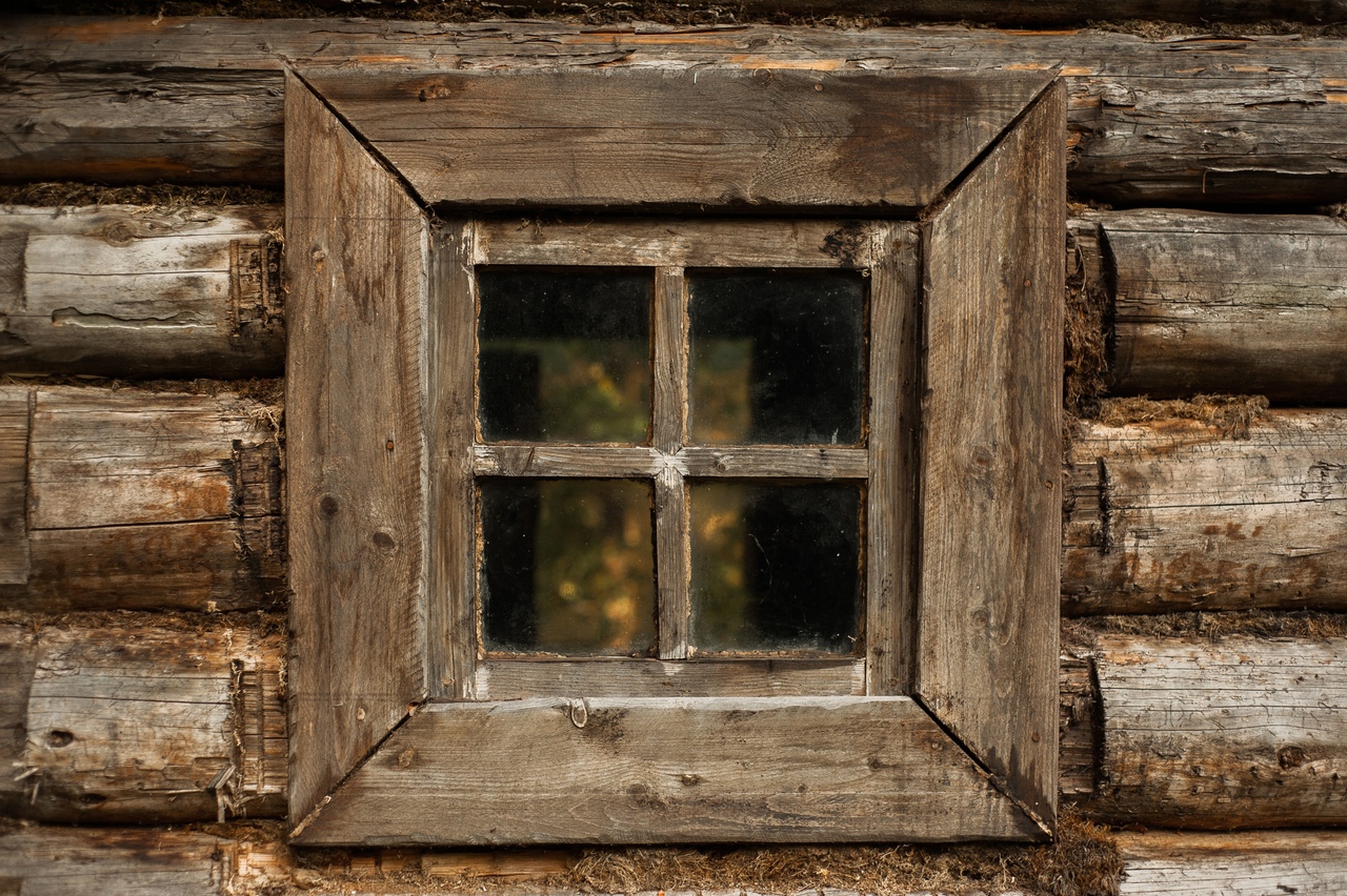 Красота в деталях: тверской фотограф запечатлел золотую осень