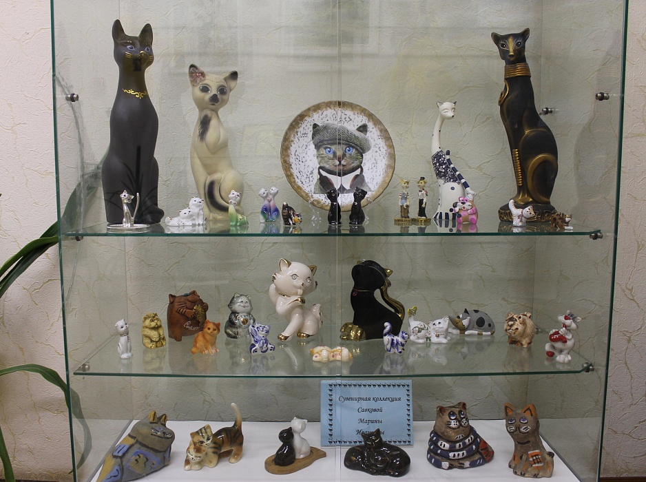 В библиотеке Жарковского района посетители найдут 78 котов