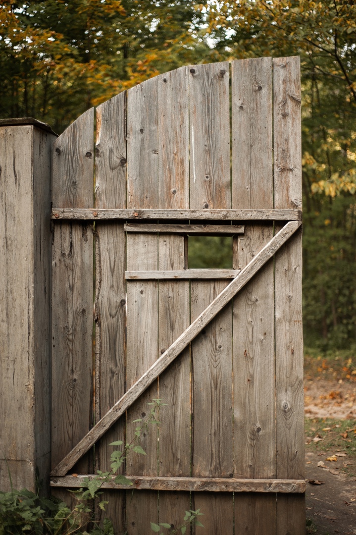 Красота в деталях: тверской фотограф запечатлел золотую осень