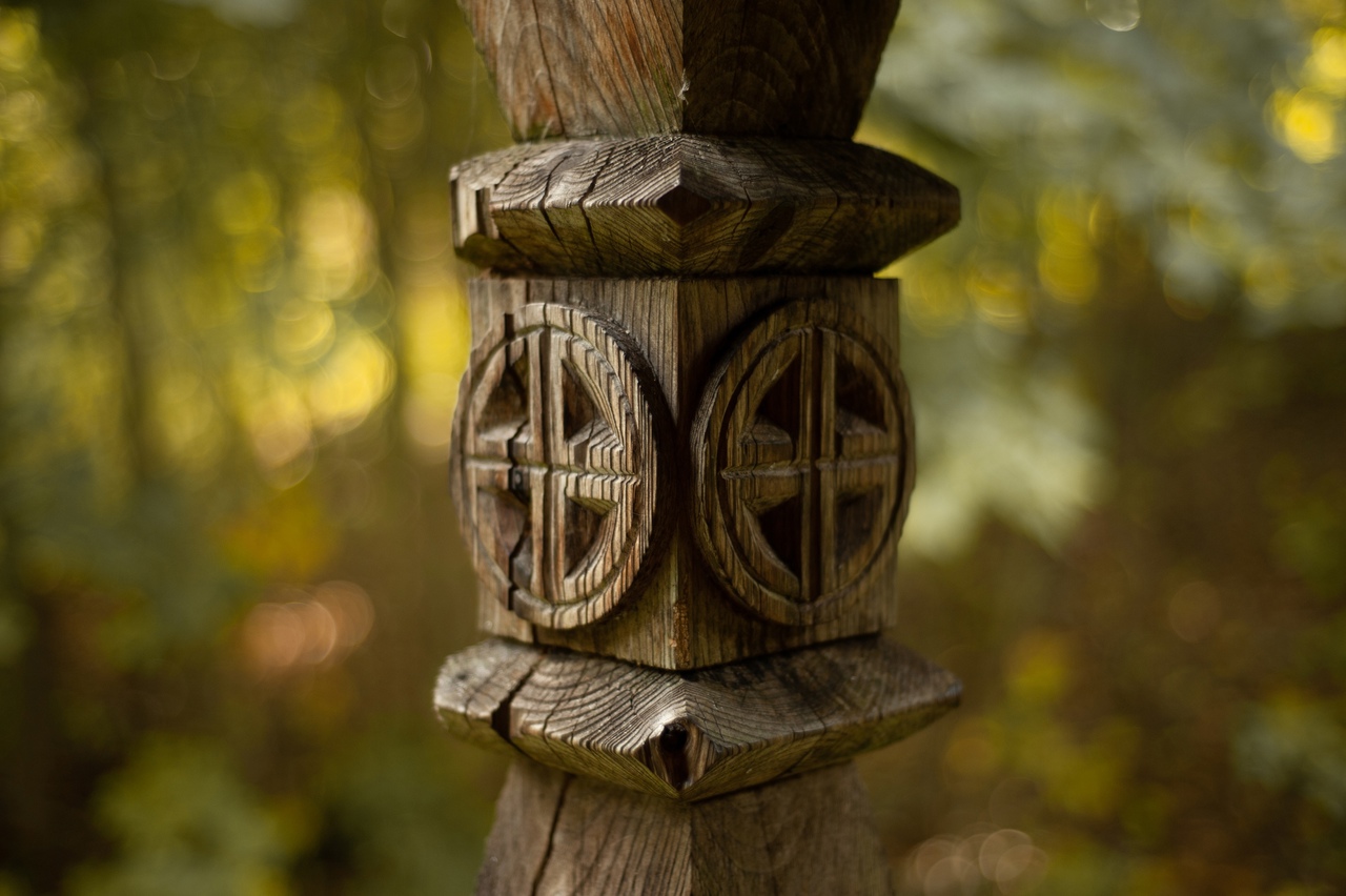 Красота в деталях: тверской фотограф запечатлел золотую осень