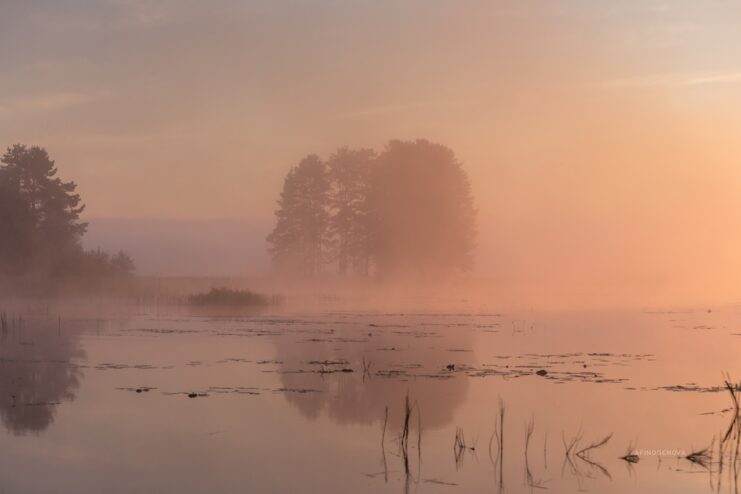 Тверской фотограф запечатлела туманные красоты родного края