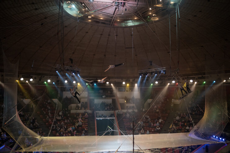 Семьи медиков Тверской области сходили на представление в цирк