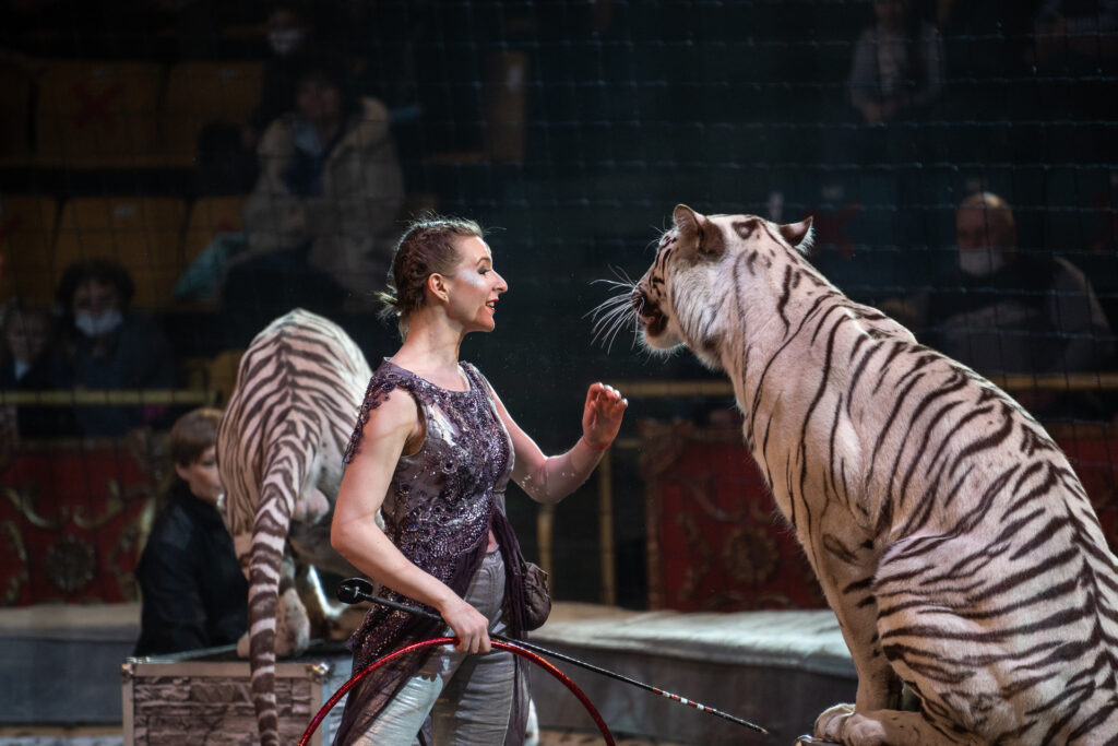 Семьи медиков Тверской области сходили на представление в цирк