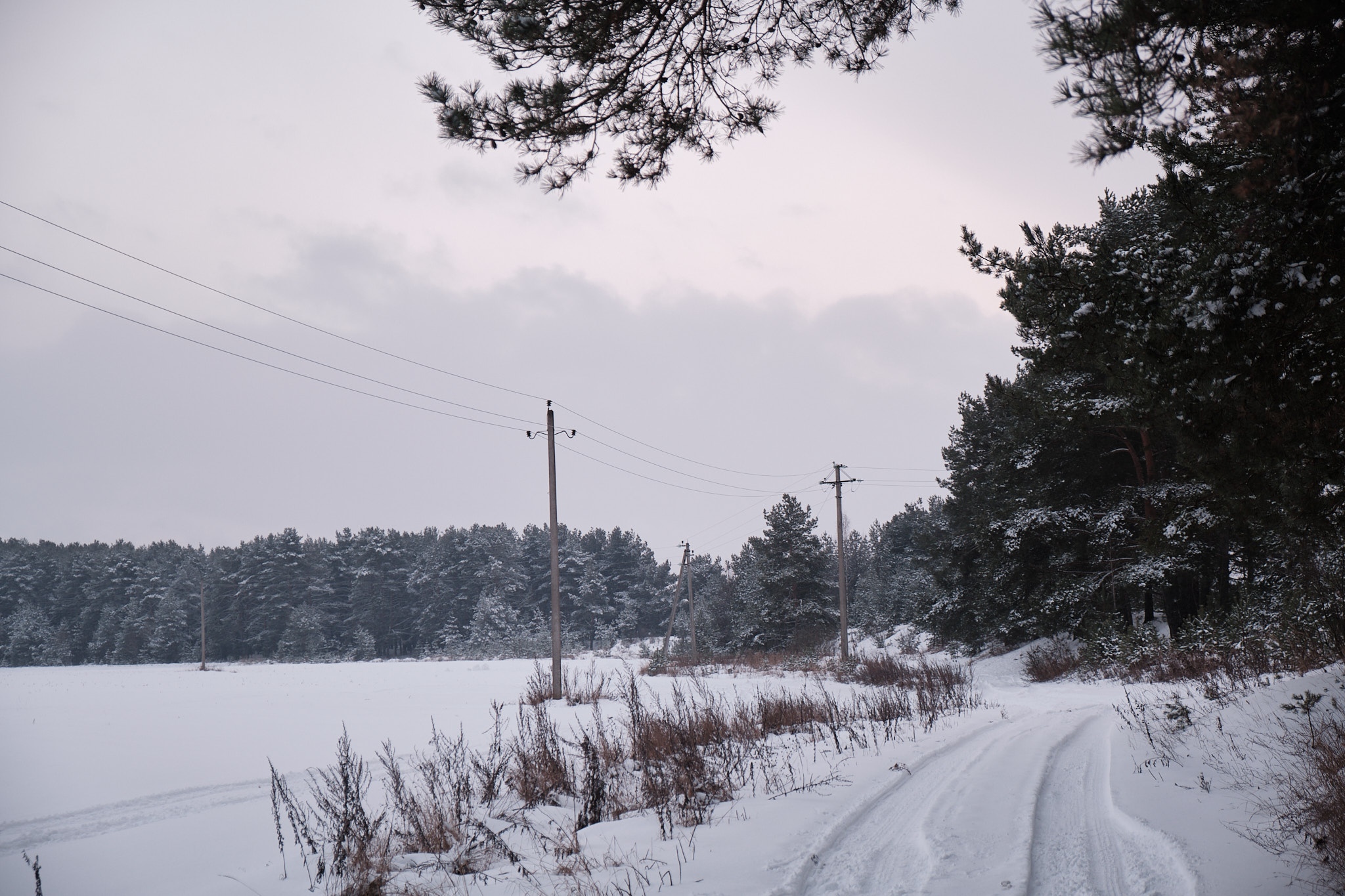Эстетика железных дорог: фоторепортаж от тверского фотографа