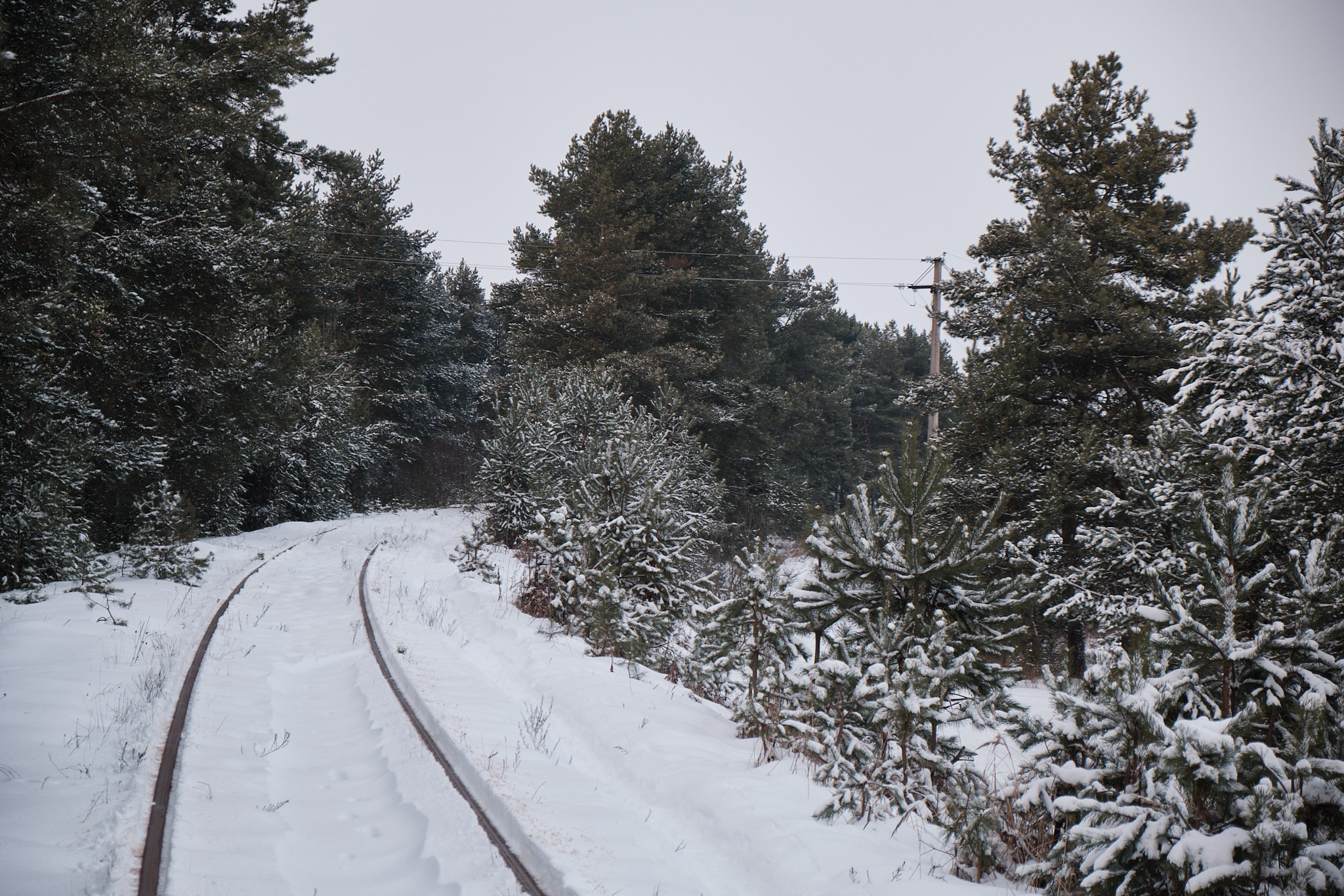 Эстетика железных дорог: фоторепортаж от тверского фотографа