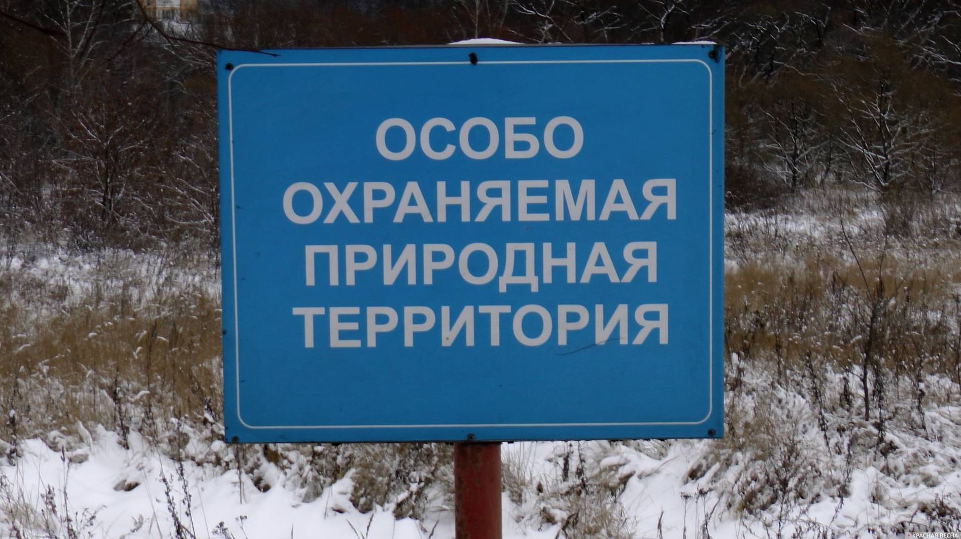 В Тверской области утверждены границы еще 12 особо охраняемых природных территорий регионального значения В Тверской области утверждены границы еще 12 особо охраняемых природных территорий регионального значения