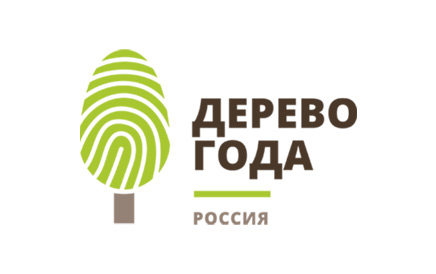 Жители Тверской области могут поддержать «Российское дерево года» на международном конкурсе новости твери