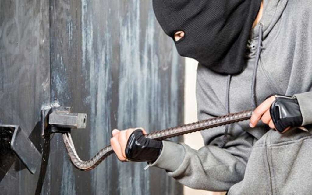 Под Тверью мужчина бросил в лесу похищенные инструменты и пошел искать кроликов Под Тверью мужчина бросил в лесу похищенные инструменты и пошел искать кроликов