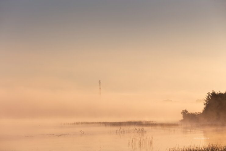 Тверской фотограф запечатлела туманные красоты родного края