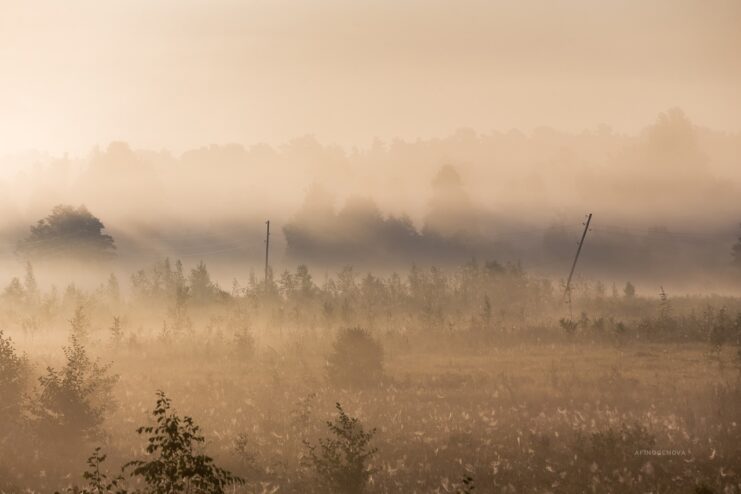 Тверской фотограф запечатлела туманные красоты родного края
