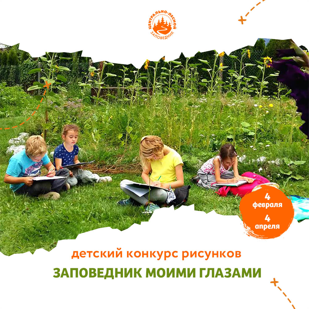 Школьники нарисуют флору и фауну заповедника в Тверской области тверь портал