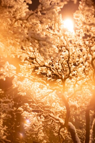 Снег на Театральной: тверской фотограф запечатлела вечернюю красоту