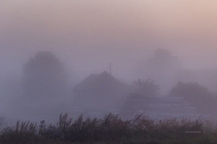 Тверской фотограф запечатлела туманные красоты родного края
