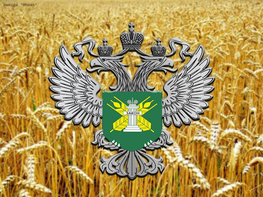 Осташковское сельхозпредприятие привлекли к административной ответственности за зарастание земель Осташковское сельхозпредприятие привлекли к административной ответственности за зарастание земель