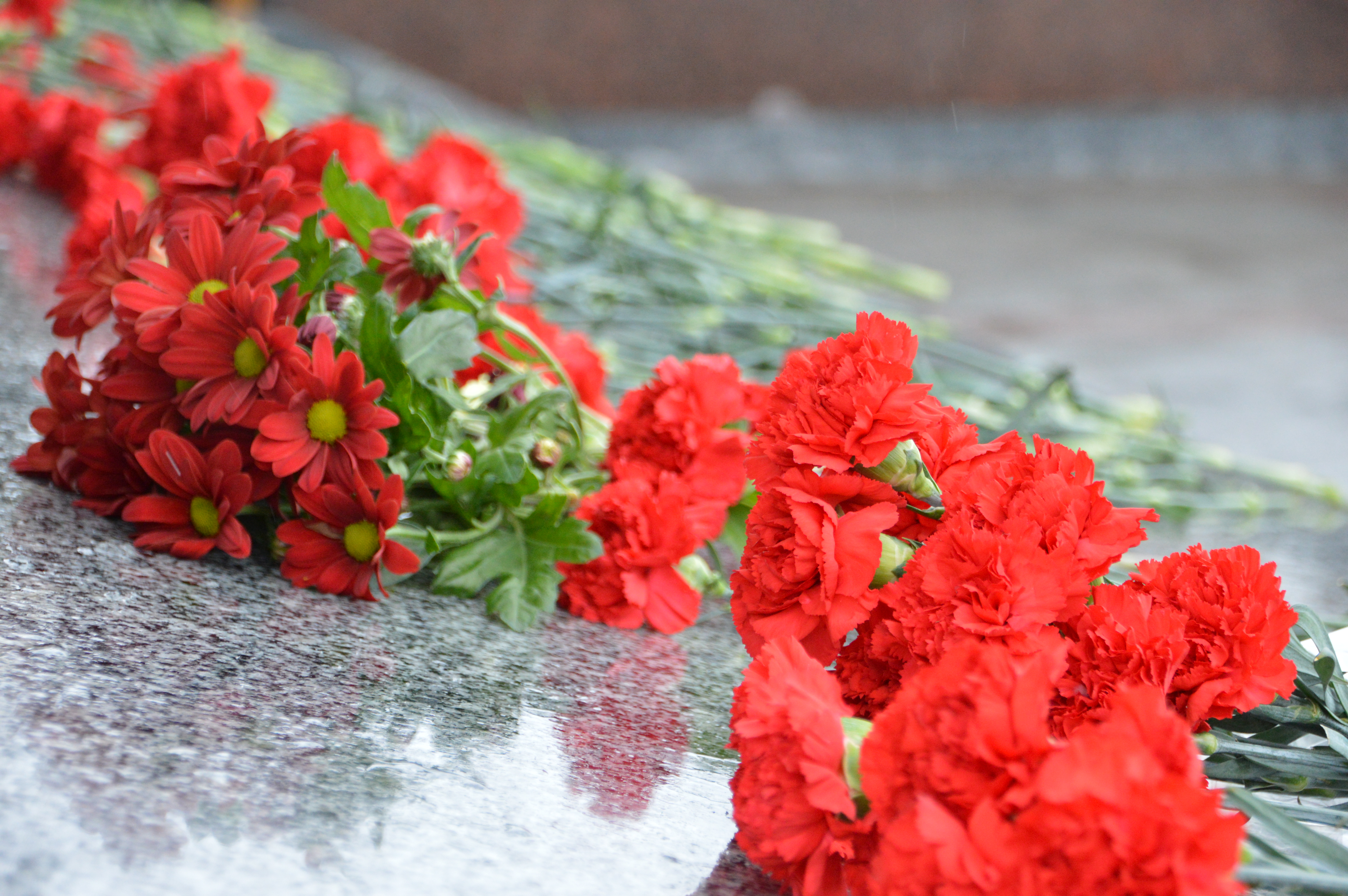 В Твери пройдут мероприятия в честь 78-й годовщины Сталинградской битвы ТверьЛайф - новости культурной жизни города