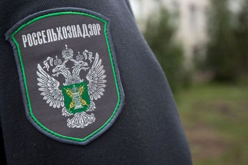 Россельхознадзор опубликовал правила противопожарного режима на землях сельскохозяйственного назначения В Россельхознадзоре рассказали об итогах досмотра импортных и экспортных грузов с продукцией растительного происхождения