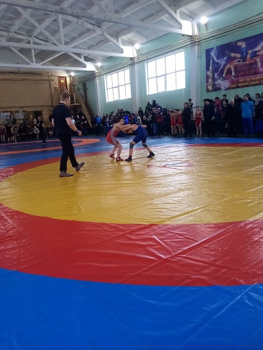 Юные борцы из Сандовского округа приняли участие в соревнованиях «Будущие звёзды России»