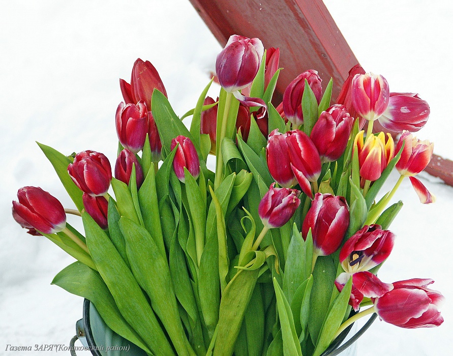 Женский праздник запомнился жителям Конаково легкоатлетическим пробегом