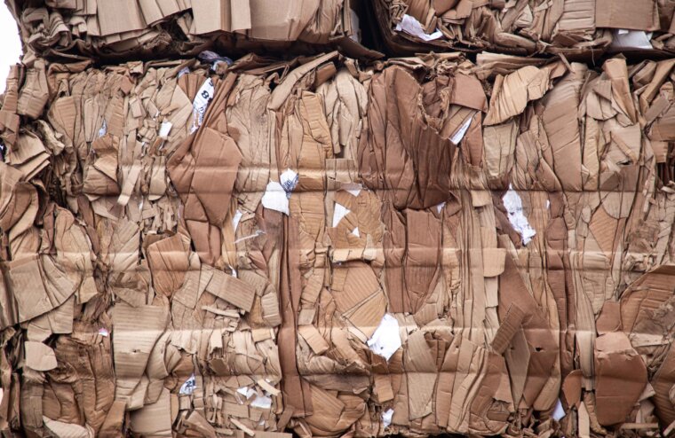 В борьбе за экологию: РИА Верхневолжье проводит акцию по сбору макулатуры