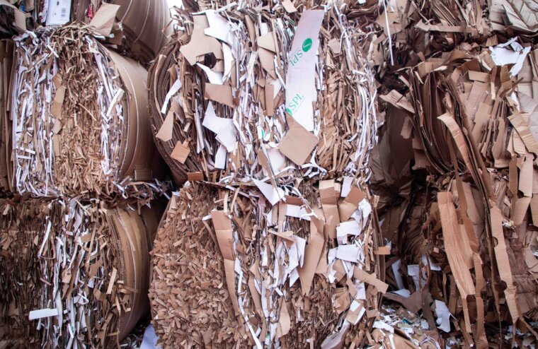 В борьбе за экологию: РИА Верхневолжье проводит акцию по сбору макулатуры