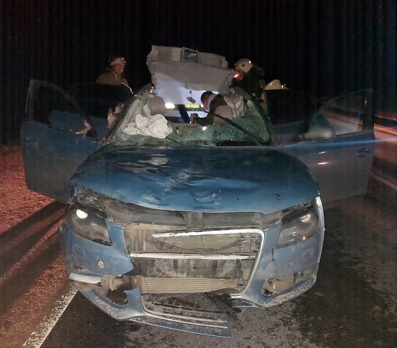 И снова лось: в Тверской области Ауди А-4 сбила четвероногого И снова лось: в Тверской области Ауди А-4 сбила четвероногого
