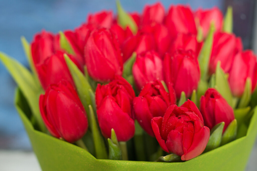 Руководители Ржевского района поздравили женщин с 8 Марта Аналитика МТС: Как исполнить желания тверитянок на 8 марта