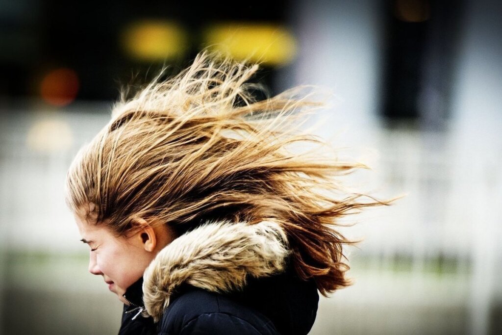 В Тверской области усилится ветер В Тверской области усилится ветер