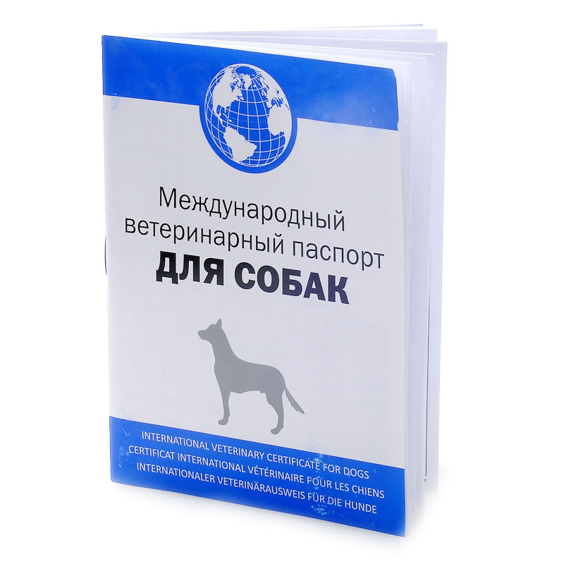 Поводок.Помада: Перезагрузка: Меня зовут Эклер