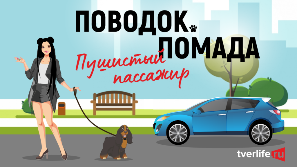 Поводок.Помада: Перезагрузка: Пушистый пассажир