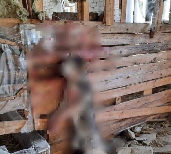 В Тверской области разыскивают оператора, заснявшего истерзанную собаку В Тверской области разыскивают оператора, заснявшего истерзанную собаку