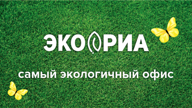 Сила стихий: почему стоит присмотреться к альтернативным источникам энергии