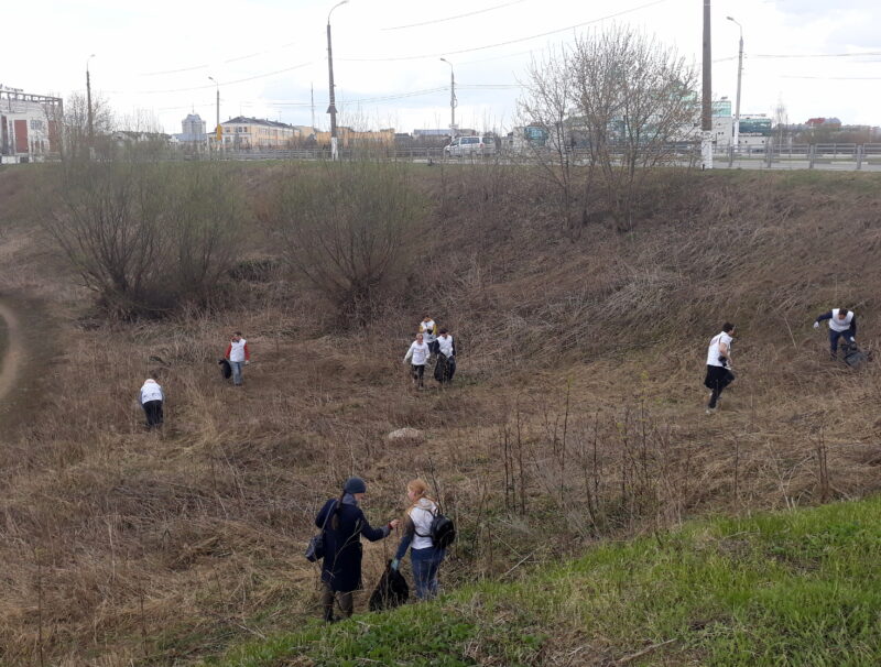 В Твери убрали берег реки Тьмака