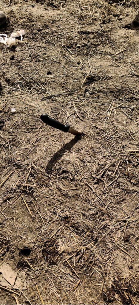 В тверской области ножом убили мужчину