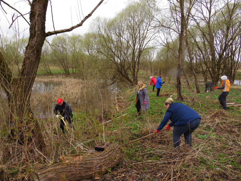 «Покончить с мусором»: жители Ржевского района привели в порядок общественные территории