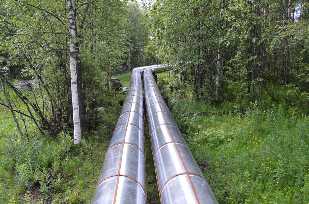 В Тверской области двое мужчин ради спиртного похитили листовую сталь