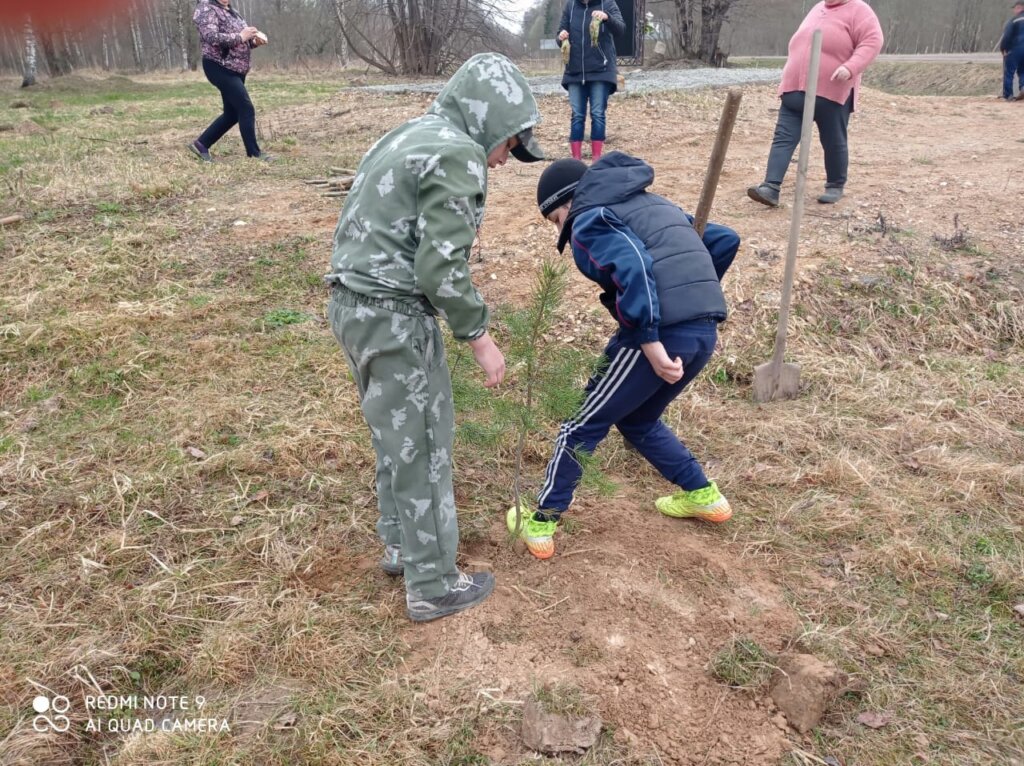 В Ржевском районе прошла Всероссийская акция "Сад памяти"