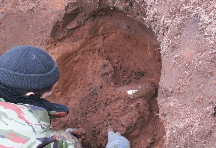 В Андреапольском районе поисковики подняли останки безымянного солдата 133 стрелковой дивизии