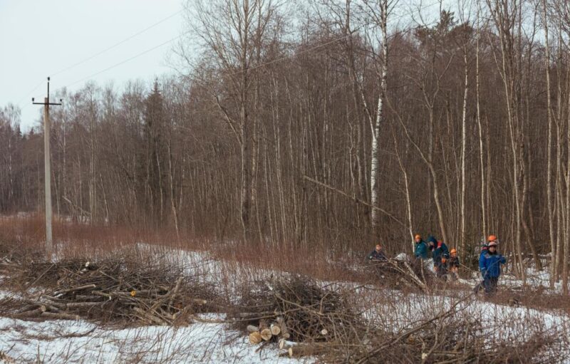 Тверской филиал «Россети Центр» повышает надежность электроснабжения потребителей Лесного района электрических сетей