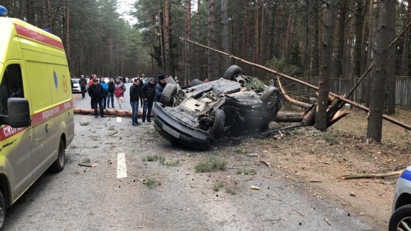 В Твери из-за непристегнутого ремня два человека получили тяжелые травмы В Твери из-за непристегнутого ремня два человека получили тяжелые травмы