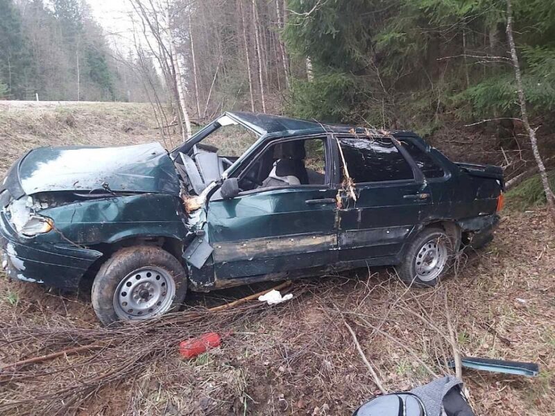 Авария с участием дерева произошла в Тверской области Авария с участием дерева произошла в Тверской области
