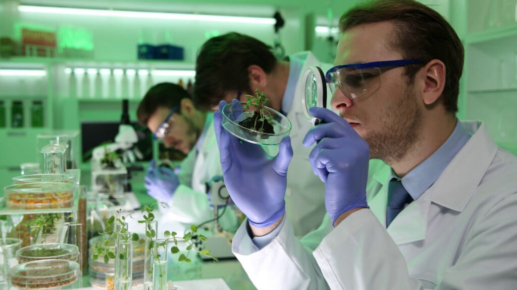 Жителя Подмосковья осудили за хранение наркотиков в Тверской области