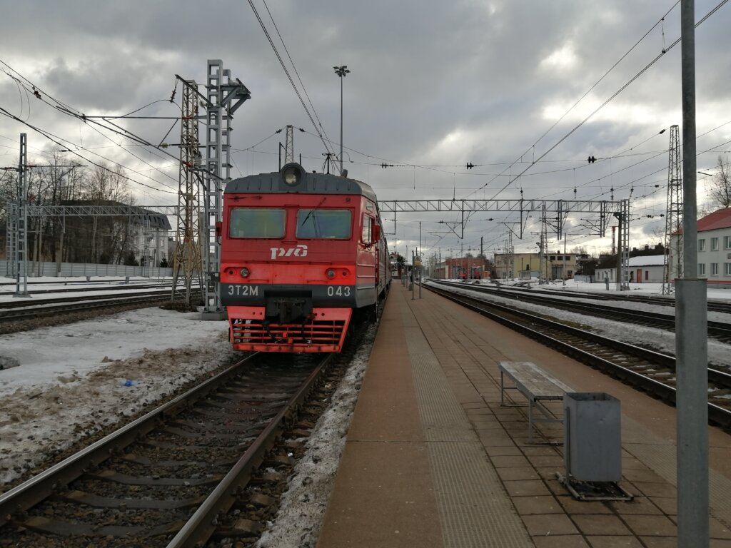 В Тверской области под поездом погиб мужчина