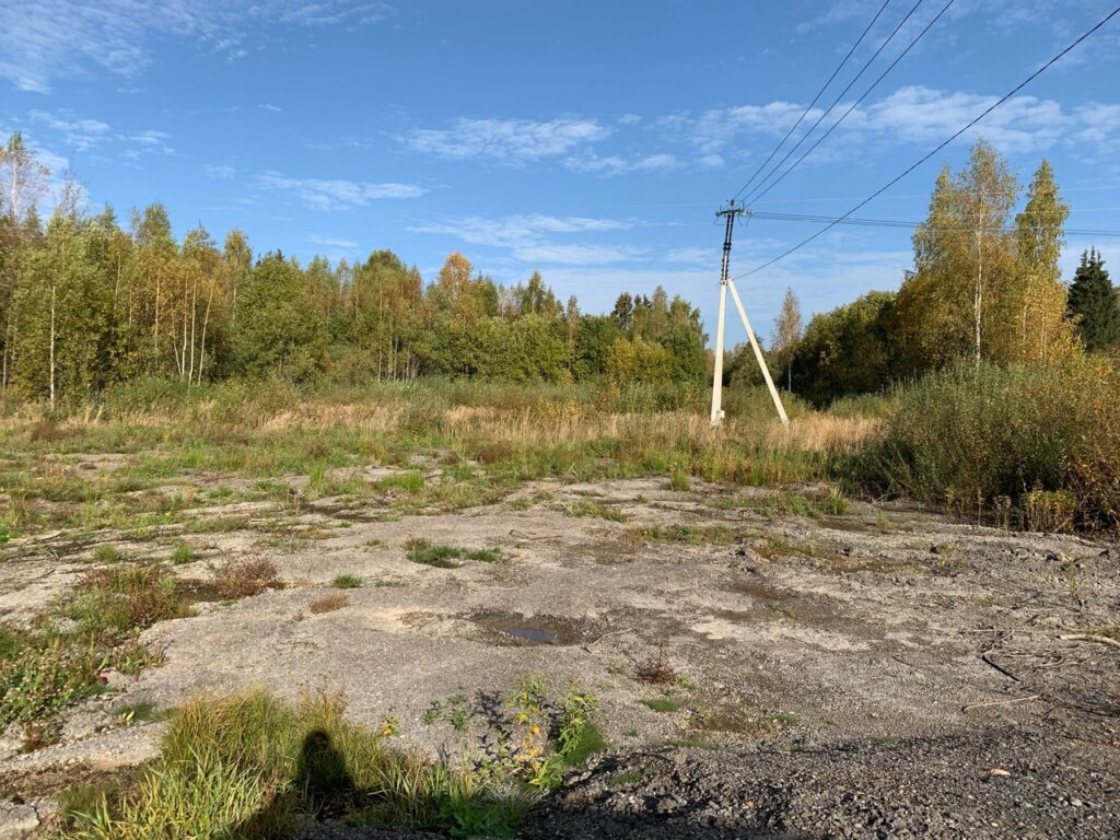 В Старицком районе должностное лицо привлекут к ответственности за загрязнение земель сельскохозяйственного назначения В Старицком районе должностное лицо привлекут к ответственности за загрязнение земель сельскохозяйственного назначения
