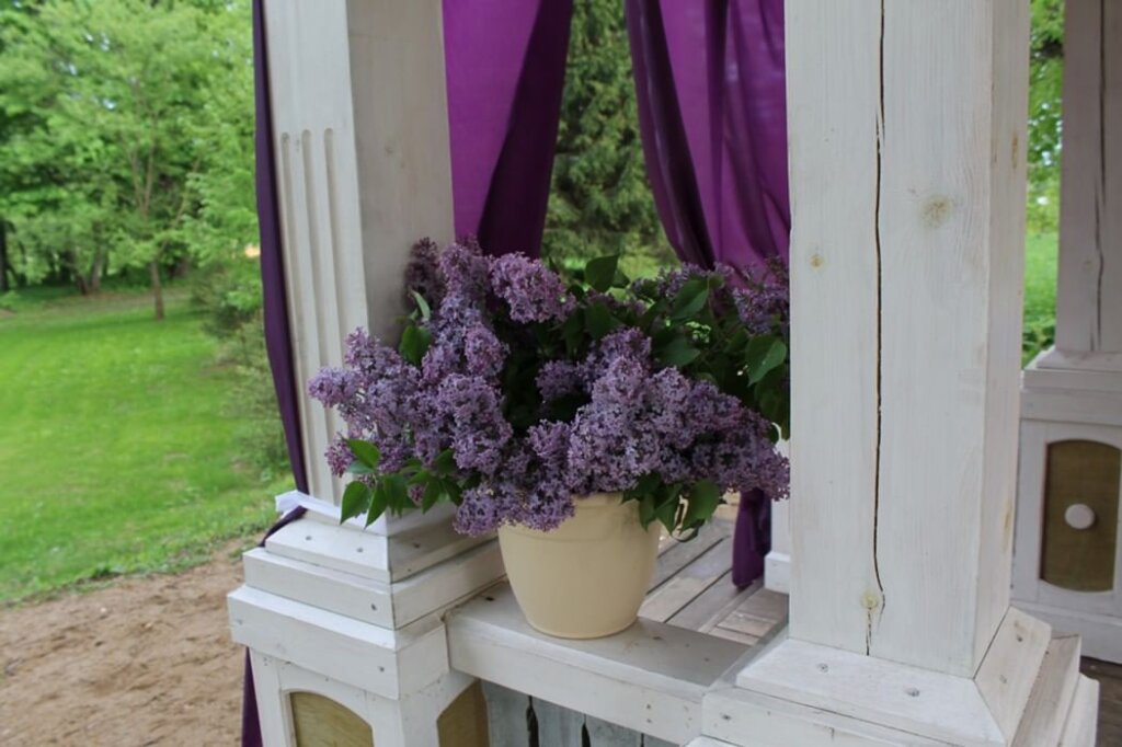 Тверская область проводит Усадебный праздник «Сиреневое Домотканово» Тверская область проводит Усадебный праздник «Сиреневое Домотканово»