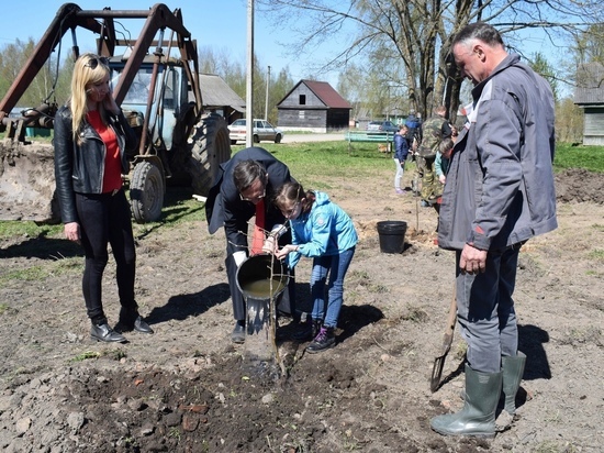 Фруктовый Сад Победы высадили в Оленинском районе