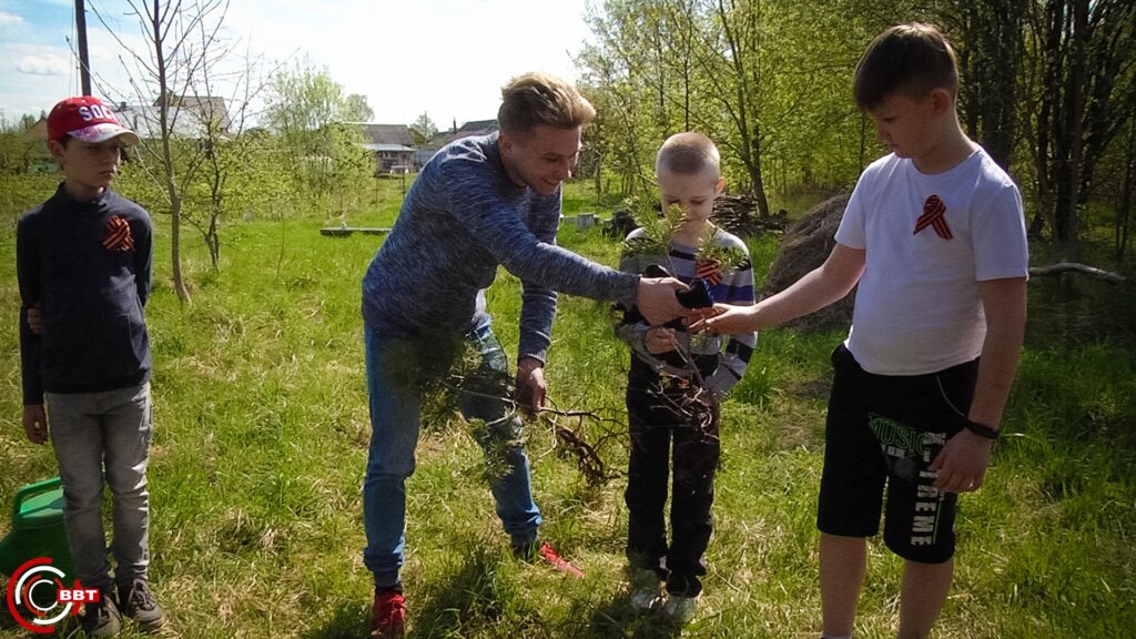 В Вышнем Волочке по берегу Шлины высадили сосны В Вышнем Волочке по берегу Шлины высадили сосны