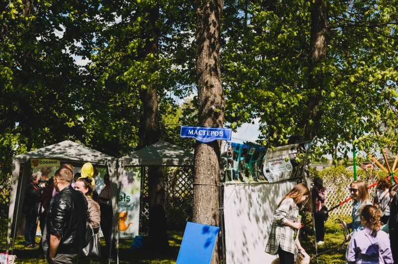 Площадь добра: волонтеры устроили фестиваль благотворительности в горсаду