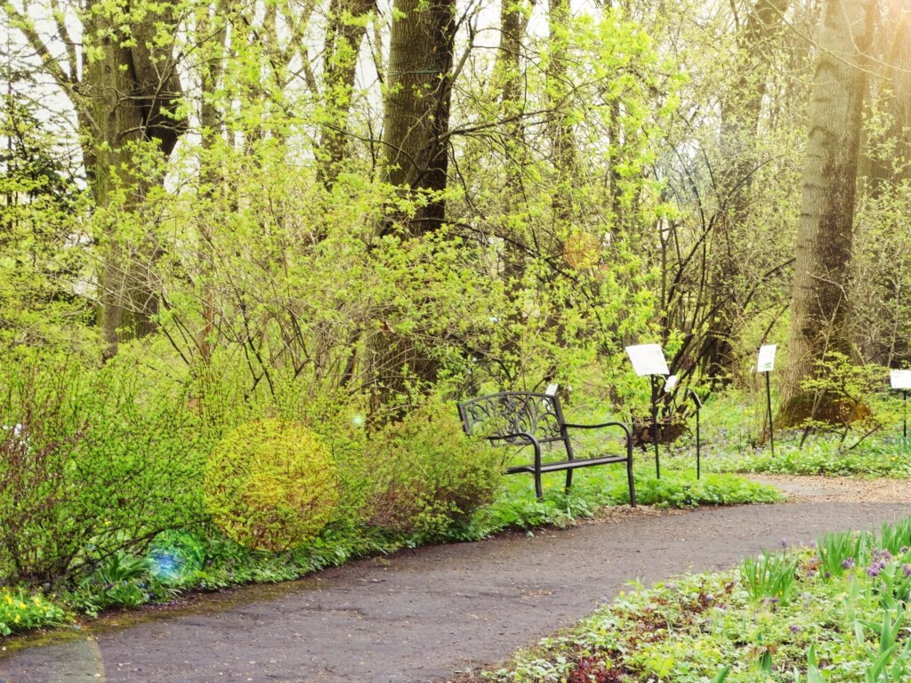 Тверская филармония приглашает на концерт в Сад Души Тверская филармония приглашает на концерт в Сад Души