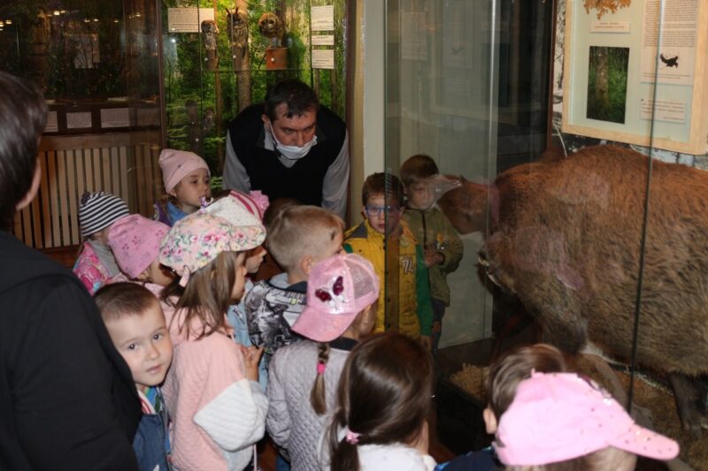 В андреапольском музее Тверской области рассказали, почему нельзя бить жаб палкой