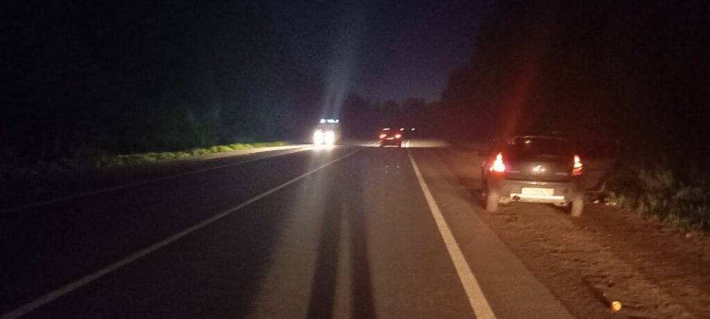 В Рамешковском районе иномарка сбила лося В Рамешковском районе иномарка сбила лося